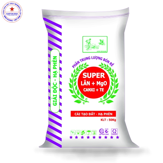 Supper Lân Magie Canxi